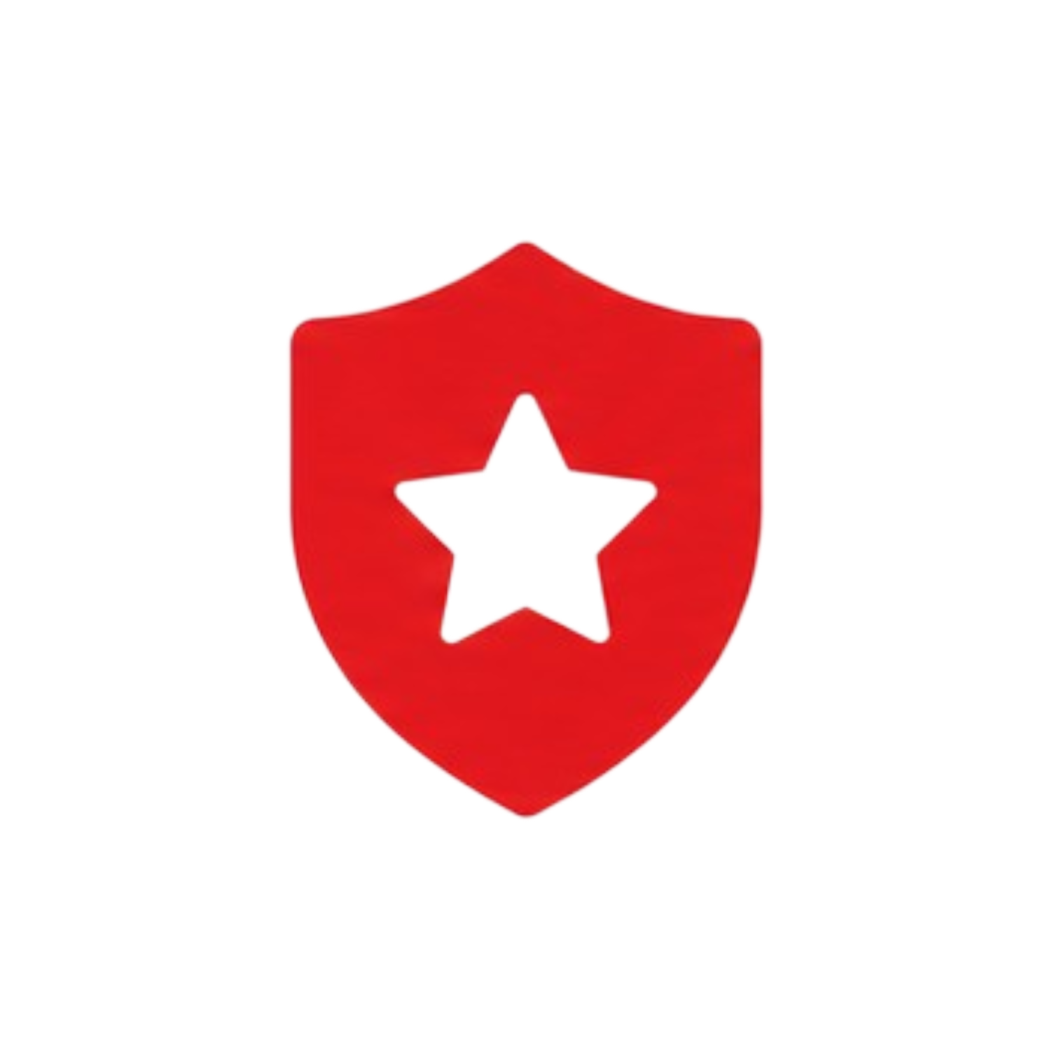 icon2